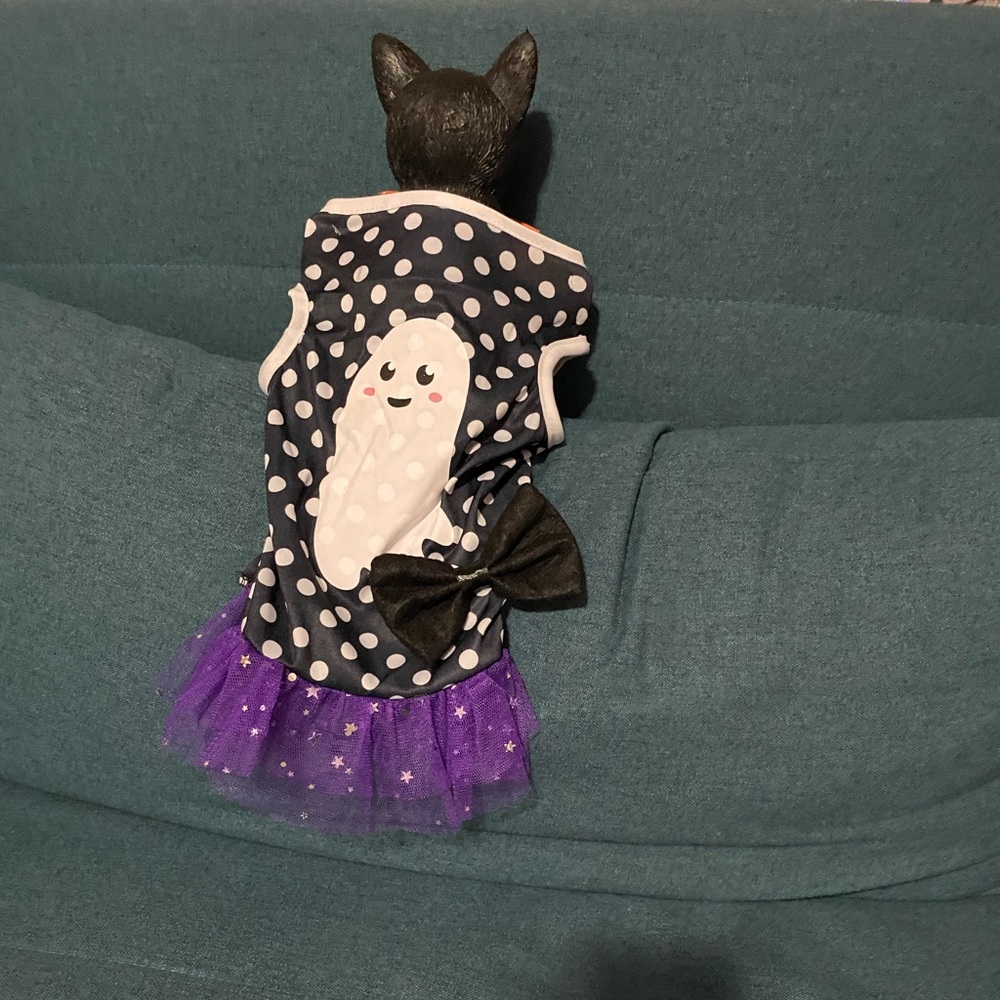 Ghost dress tutu  pets ❤️